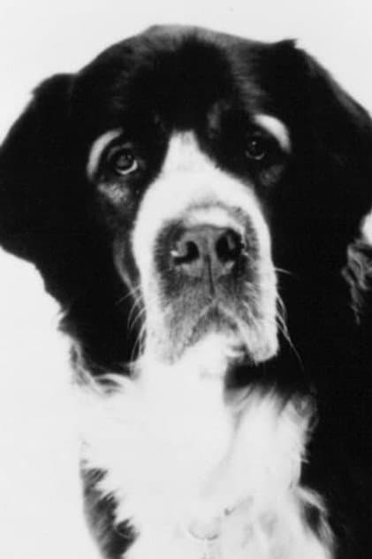 Barney