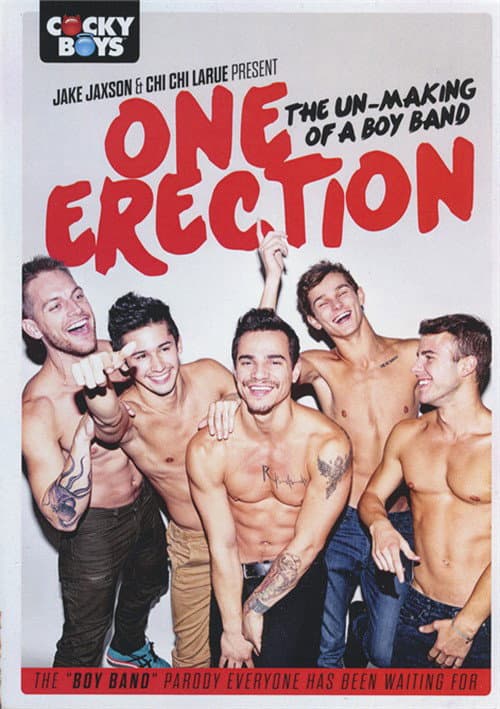 One Erection: The Un-Making of a Boy Band