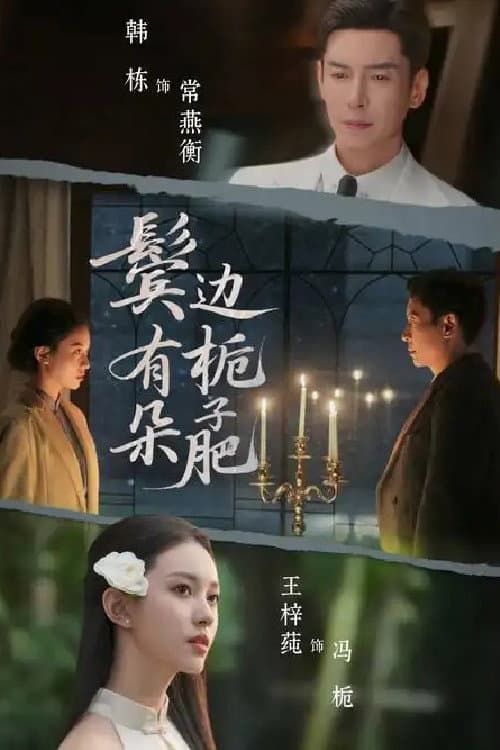 鬓边有朵栀子肥