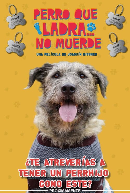 Perro Que Ladra... No Muerde
