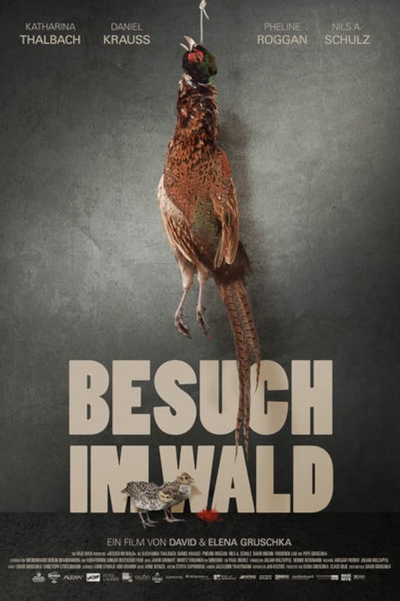 Besuch im Wald