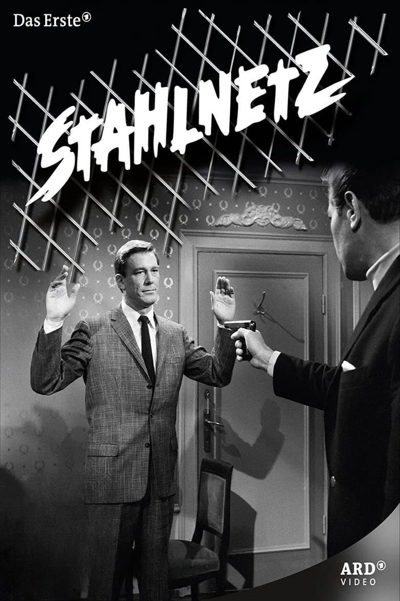 Stahlnetz