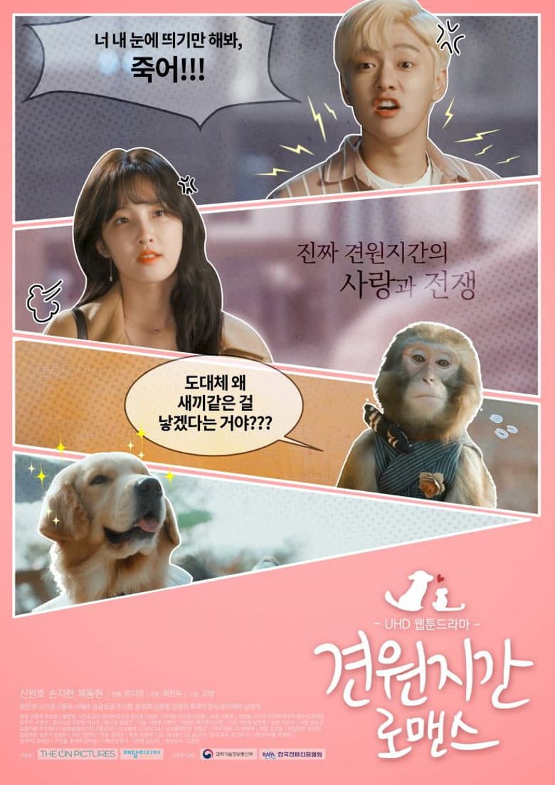 Monkey and Dog Romance